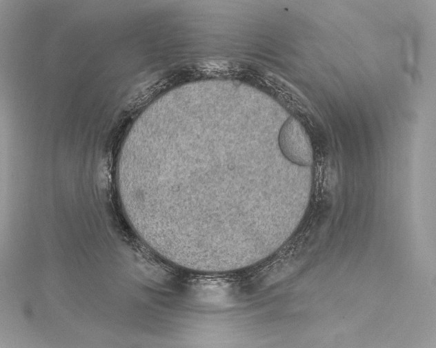 X0000114650702200911171050