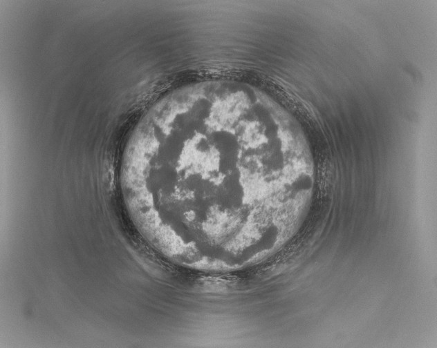 X0000114650703200911171050