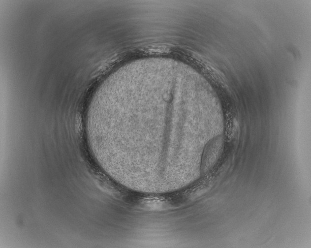 X0000114650704200911171050