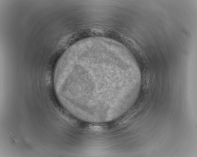 X0000114650706200911171050