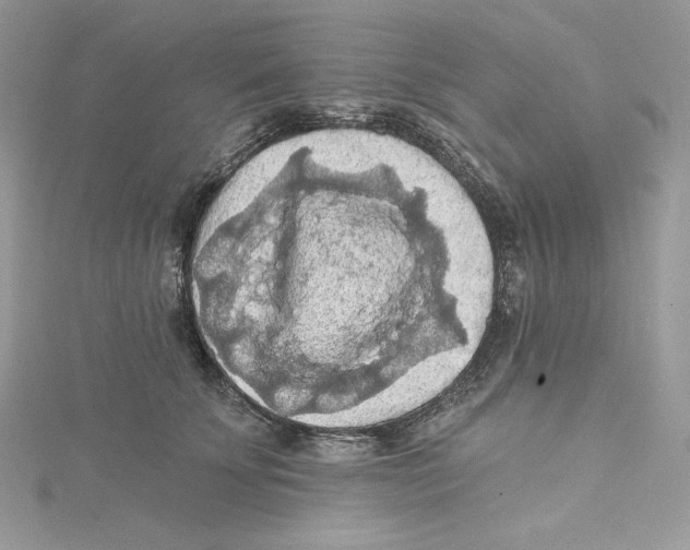 X0000114650707200911171050