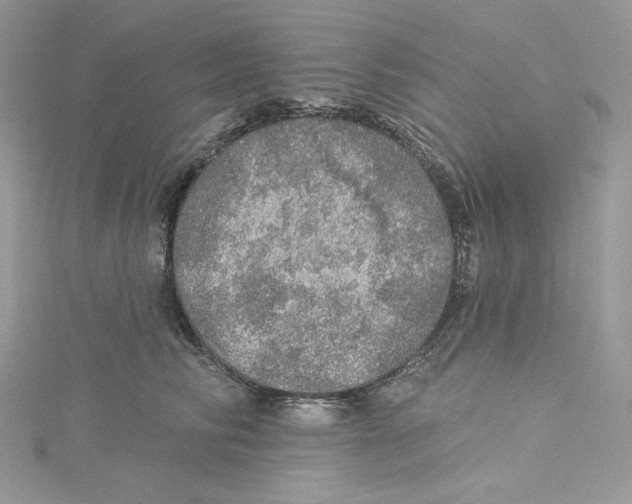 X0000114650710200911171050