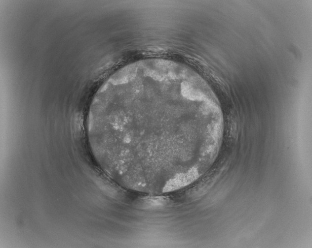 X0000114650711200911171050