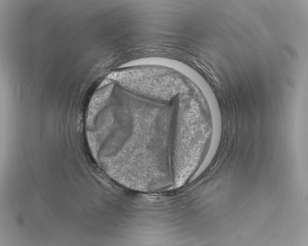 X0000114650713200911171050