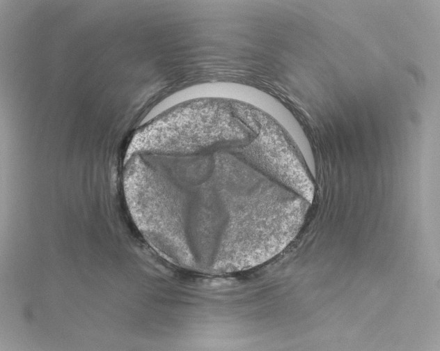 X0000114650716200911171050