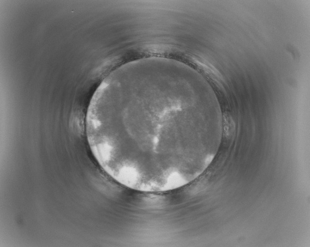 X0000114650718200911171050