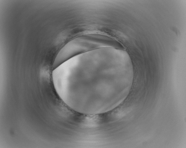 X0000114650720200911171050