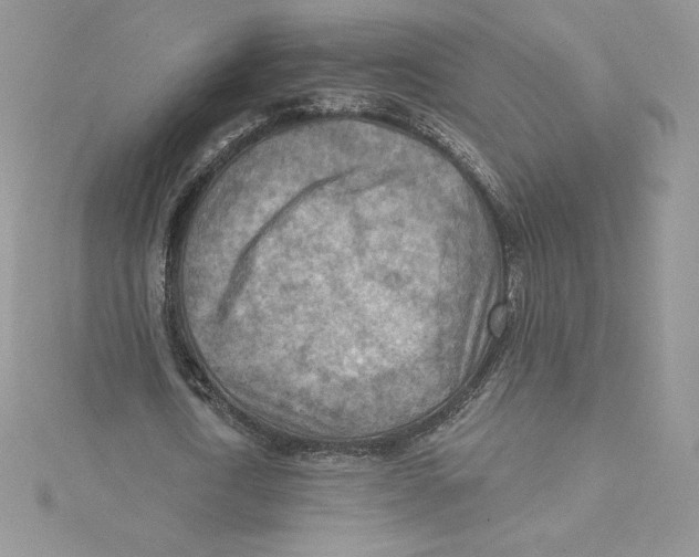 X0000114650722200911171049