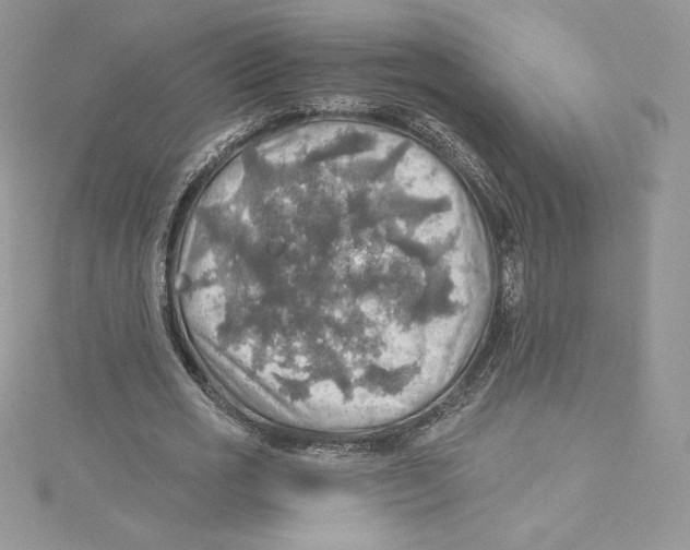 X0000114650725200911171049