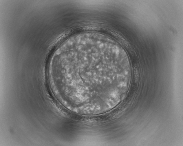 X0000114650729200911171049