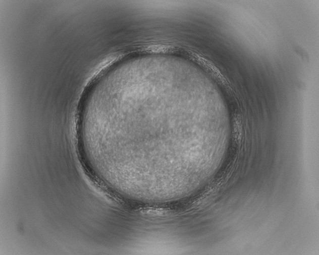 X0000114650730200911171049