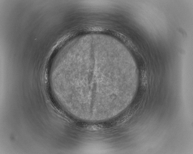 X0000114650731200911171049