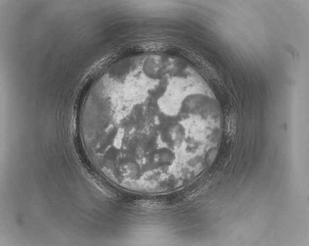 X0000114650733200911171049