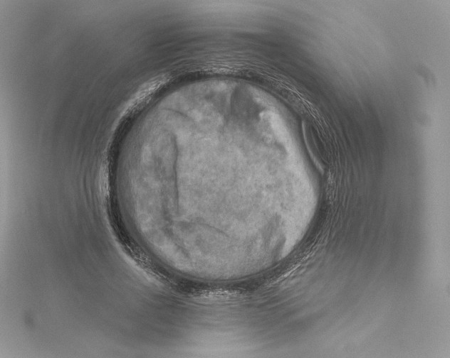 X0000114650734200911171049