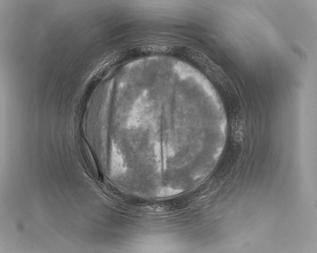 X0000114650735200911171049