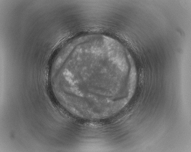 X0000114650739200911171050