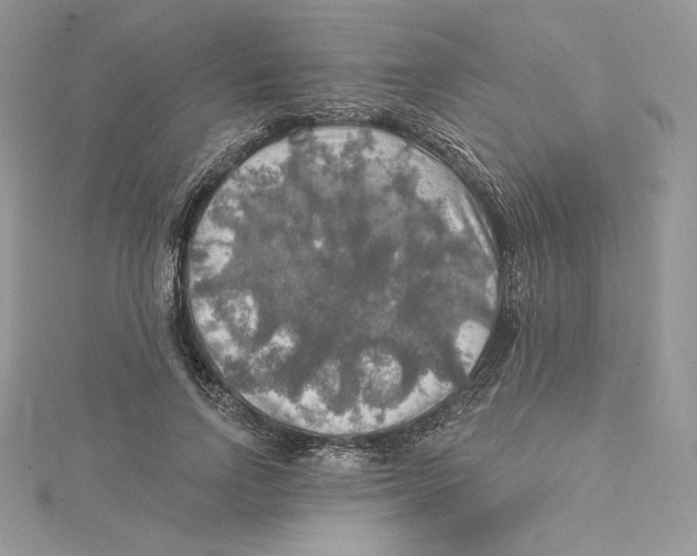 X0000114650742200911171050