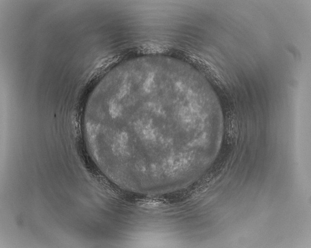 X0000114650743200911171050