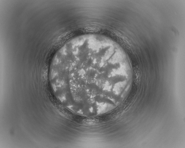 X0000114650745200911171050