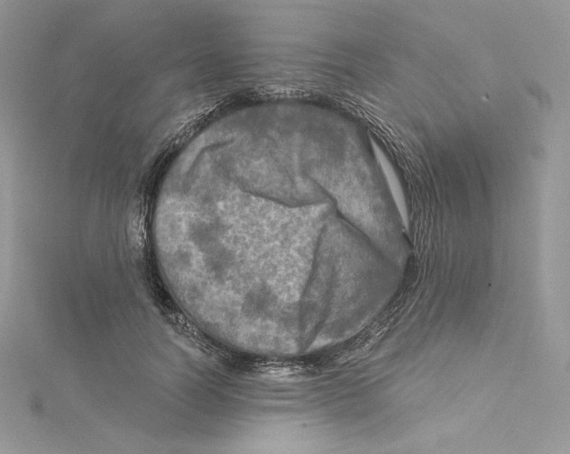 X0000114650746200911171050