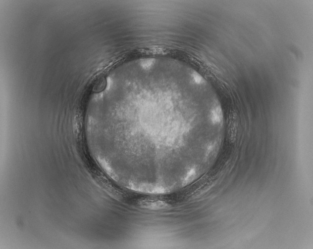 X0000114650747200911171050