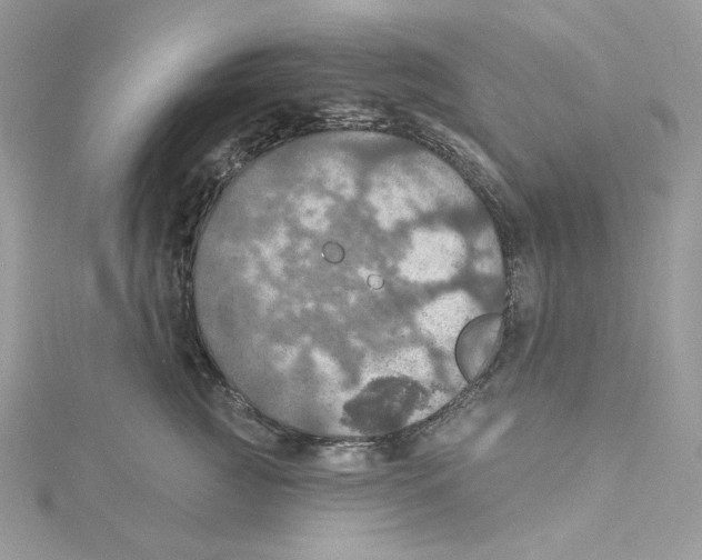 X0000114650761200911171050