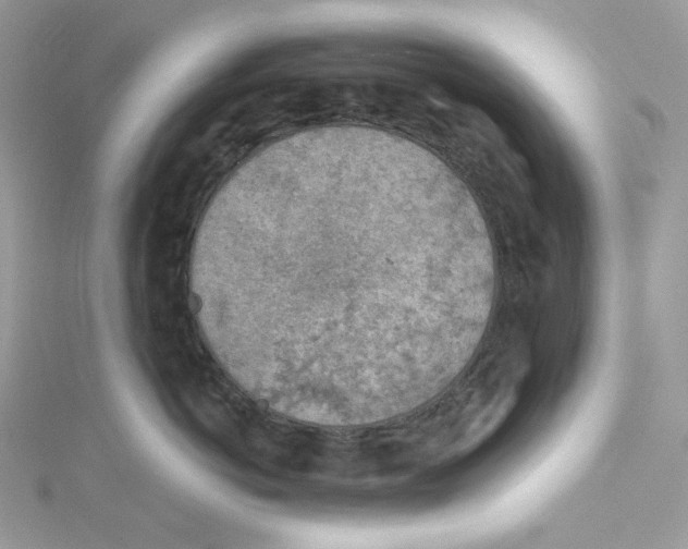 X0000114650766200911171050