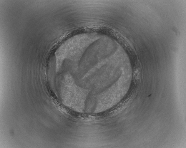 X0000114650772200911171049