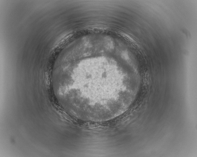 X0000114650774200911171049