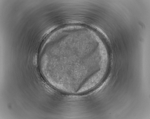 X0000114650777200911171049