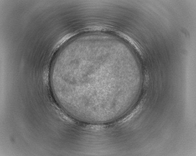 X0000114650778200911171049