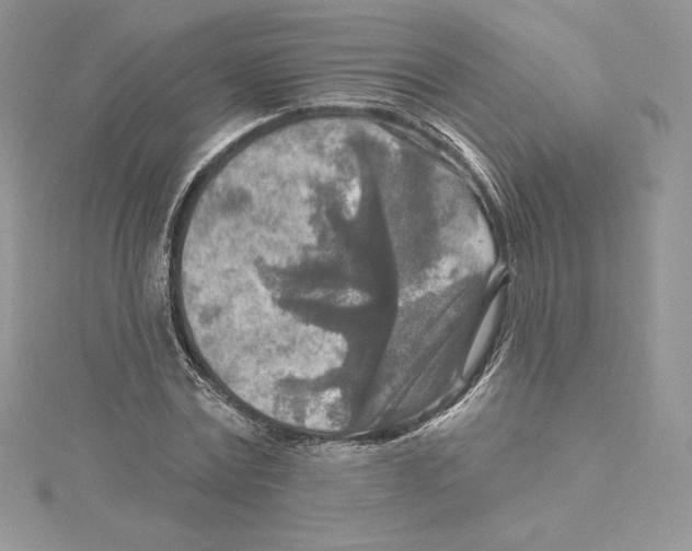 X0000114650779200911171049