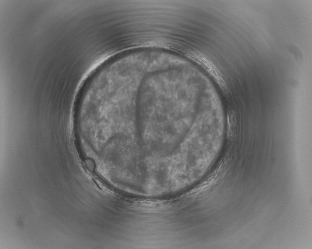 X0000114650780200911171049