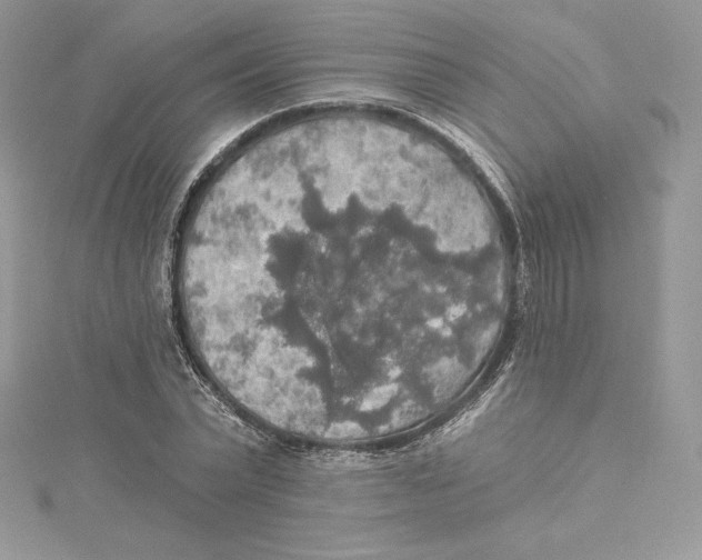 X0000114650783200911171049