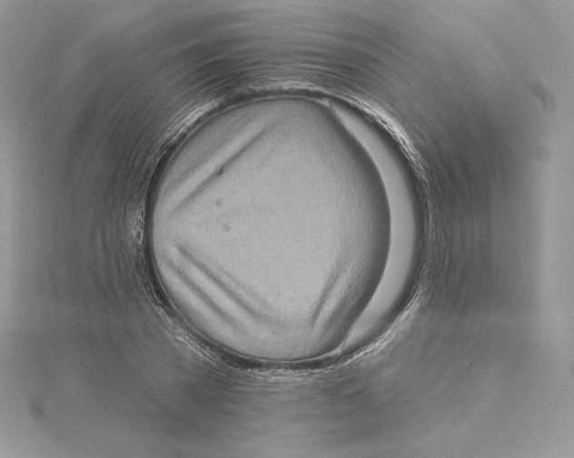 X0000114650785200911171049