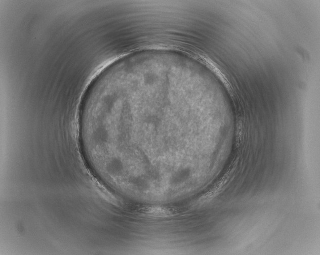 X0000114650787200911171049