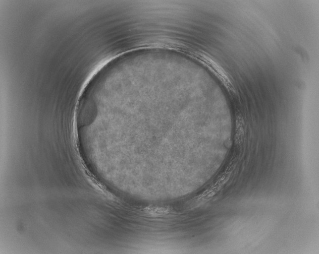 X0000114650788200911171049