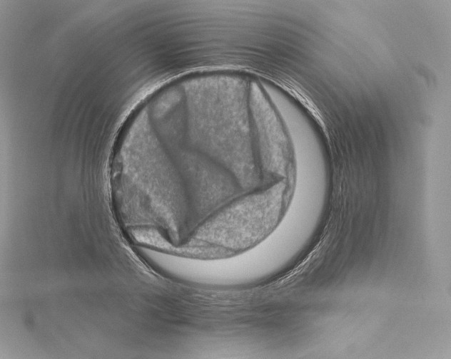 X0000114650789200911171049