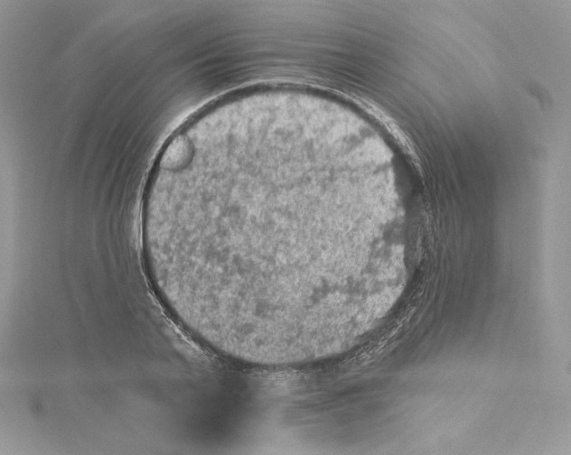 X0000114650791200911171049