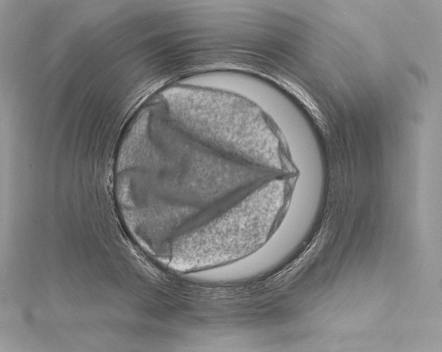 X0000114650793200911171049