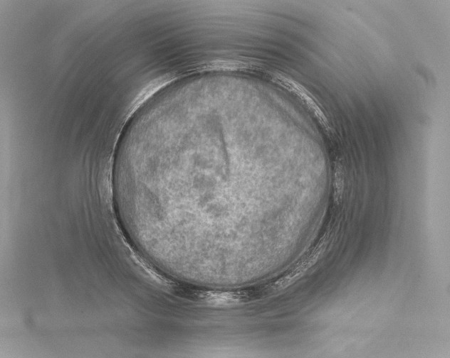 X0000114650794200911171049