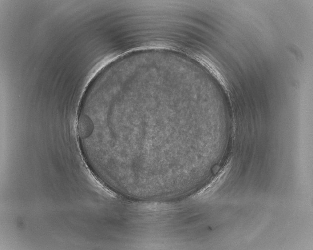 X0000114650797200911171049