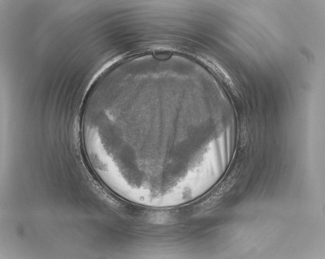 X0000114650798200911171049