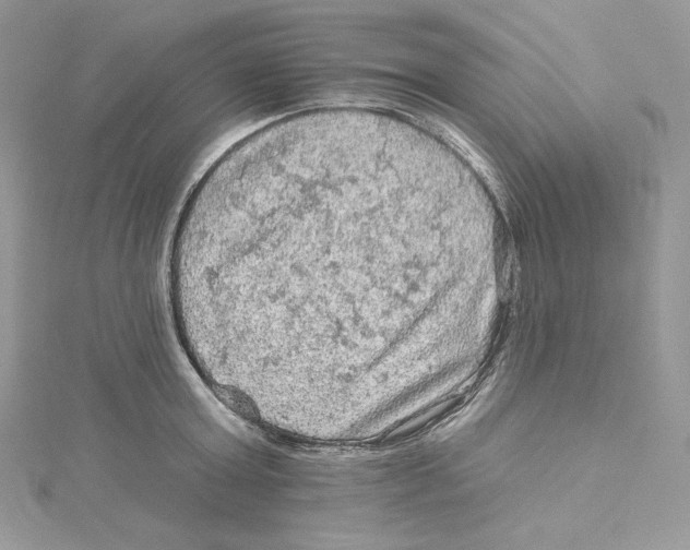 X0000114650803200911171049