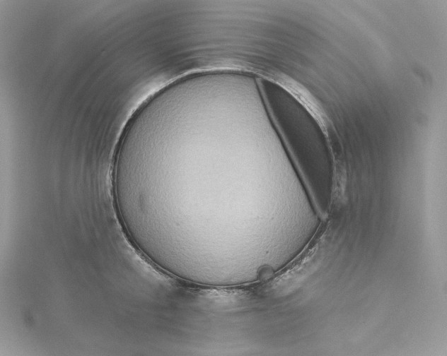 X0000114650805200911171049