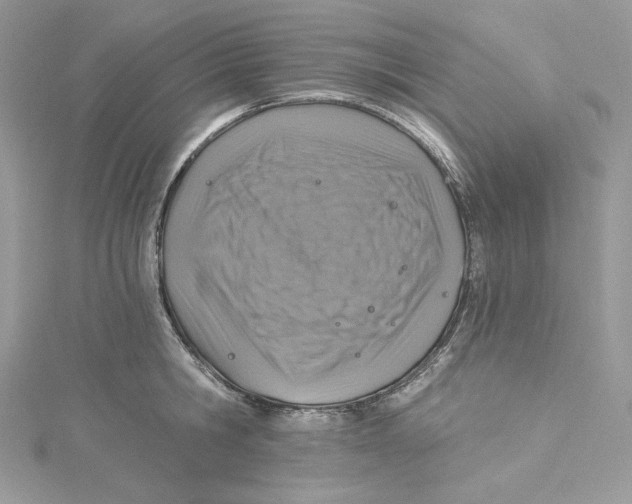 X0000114650806200911171049