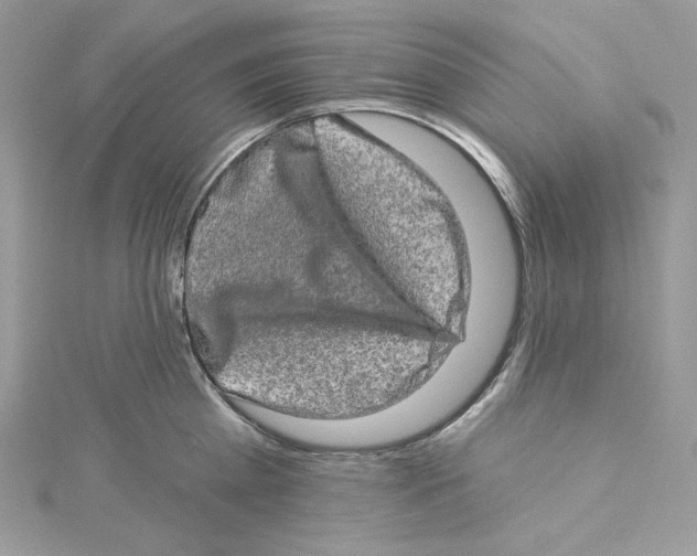 X0000114650809200911171049