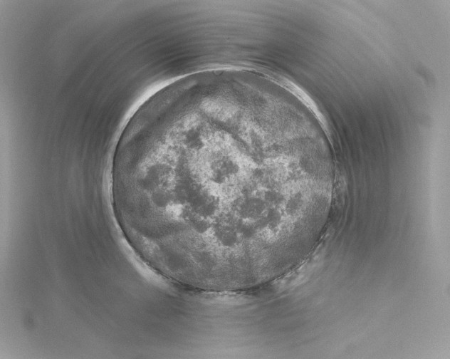 X0000114650811200911171049