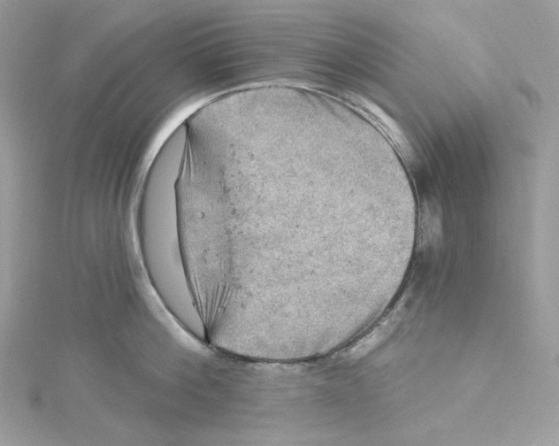 X0000114650812200911171049