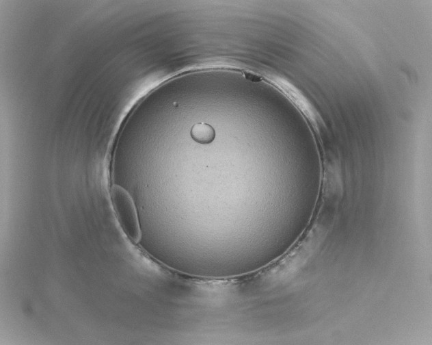 X0000114650813200911171049